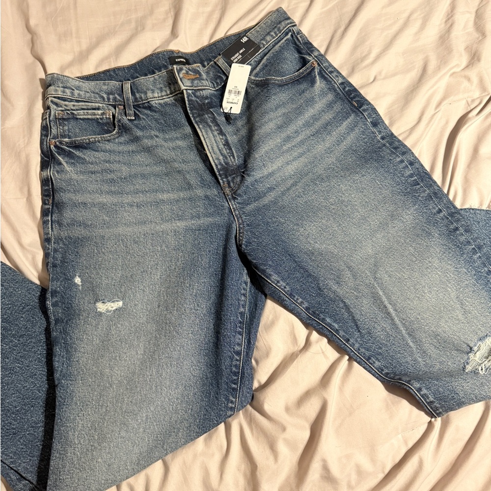 Express Classic Blue Denim Jeans